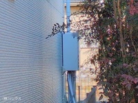 外観: