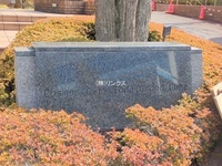 外観: