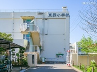 周辺環境:新座市立東野小学校