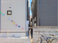 外観: