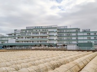 周辺環境:新座病院