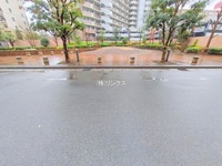 外観: