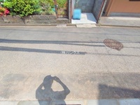 外観: