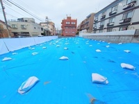 外観: