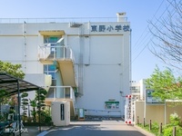 周辺環境:新座市立東野小学校