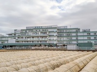 周辺環境:新座病院