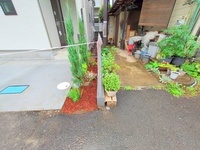 外観: