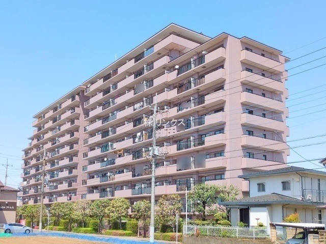 外観: