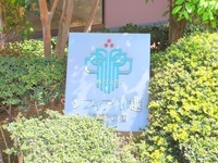 外観: