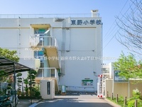 周辺環境:新座市立東野小学校