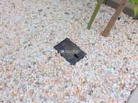 外観: