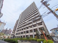 外観: