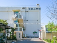 周辺環境:新座市立東野小学校