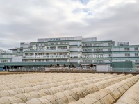 周辺環境:新座病院
