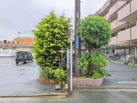 外観: