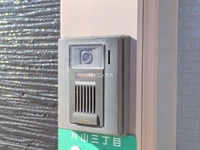 外観:
