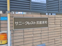 外観: