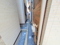 外観: