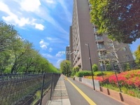 外観: