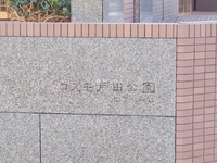 外観: