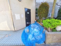 外観: