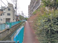 外観: