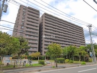外観: