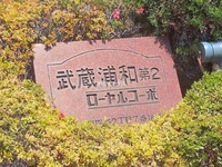 外観: