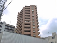 外観: