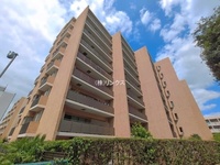 外観: