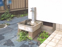 外観: