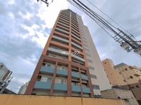 外観: