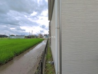 外観: