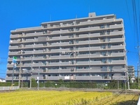 外観: