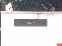 外観:
