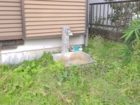 外観:
